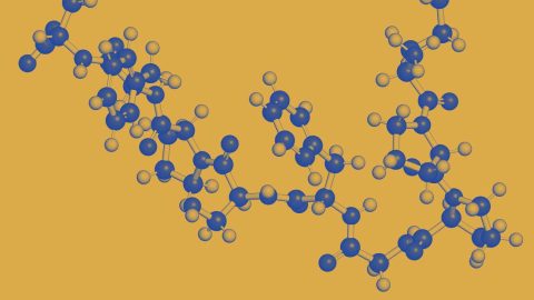 peptide molecule